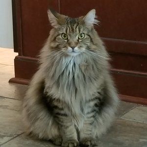 NOT FOR SALE-PM GLITCH WON'T LET ME DELETE